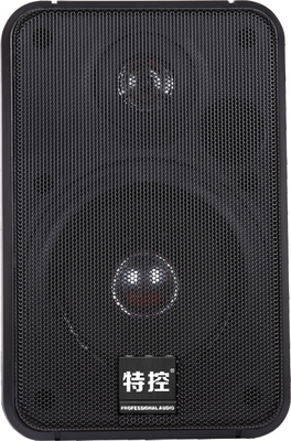 IP网络有源音箱 特控 TK-WL703